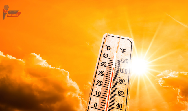 Heat Wave Precautions_ Essential Tips for People With Underlying Health Conditions