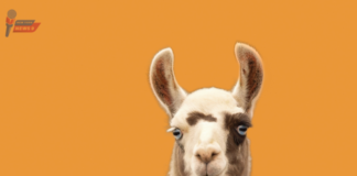 Meta's LLaMA 2 was revealed and it is free for all