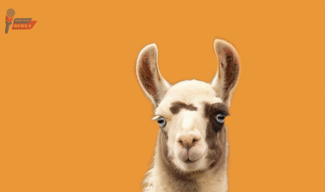 Meta's LLaMA 2 was revealed and it is free for all